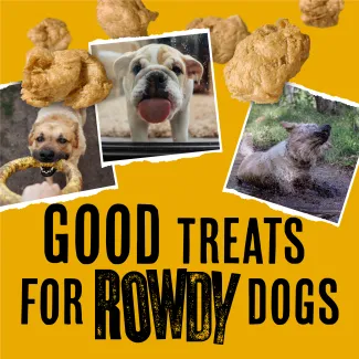 Good Treats for Rowdy dogs