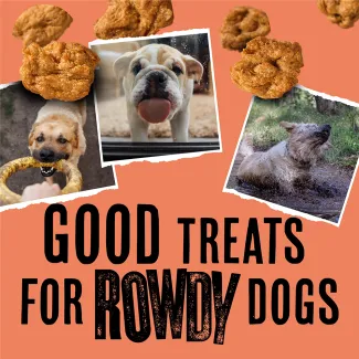 Good Treats for Rowdy Dogs