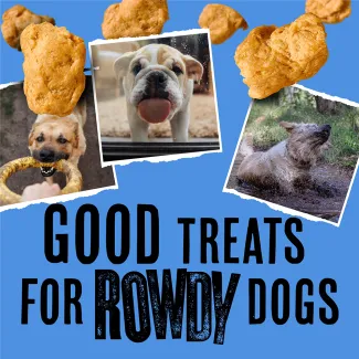 Good Treats for Rowdy Dogs