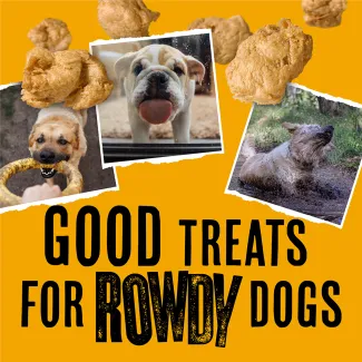 Good Treats for Rowdy Dogs
