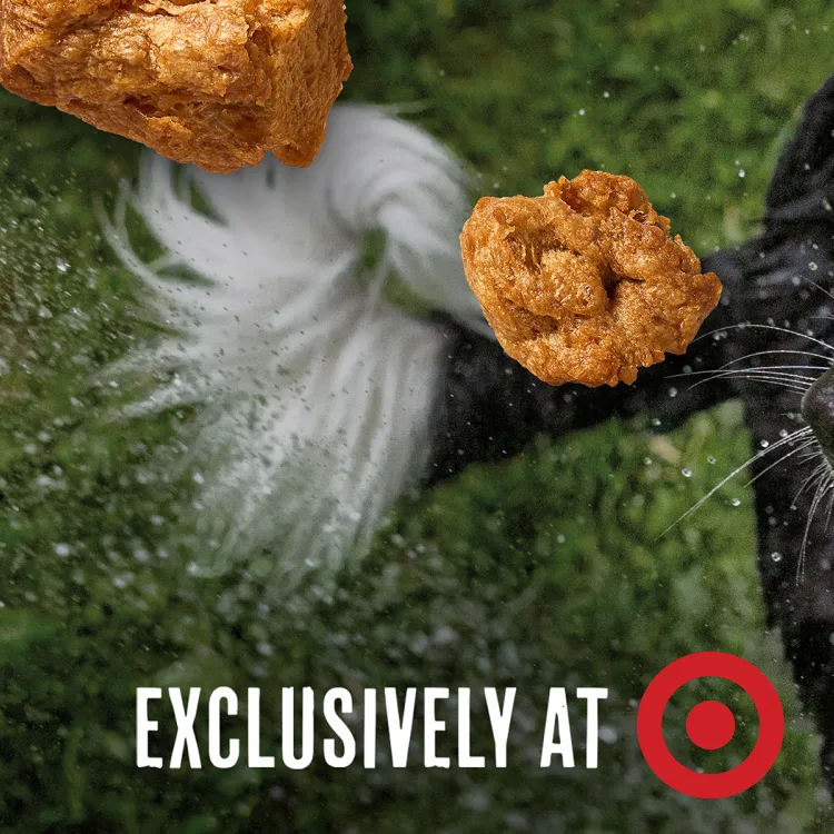 Rowdy dog catching a treat