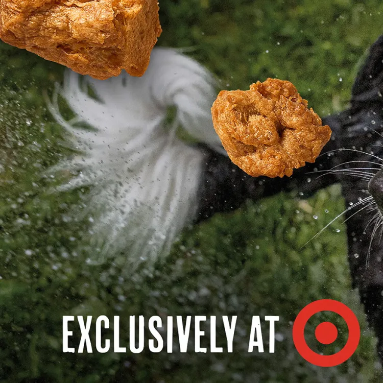 close up of black and white dog catching treats in the air